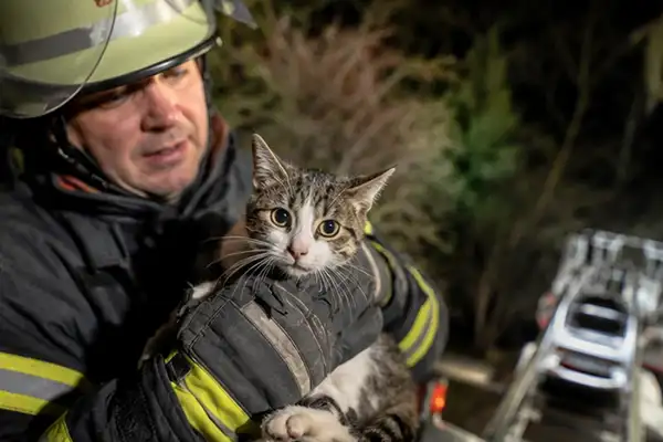 2026-04-28: Katzenrettung